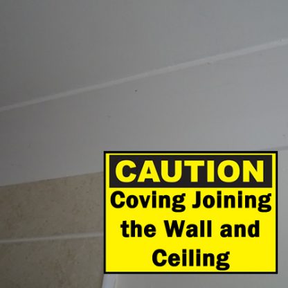 Coving Joining the Wall and Ceiling